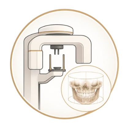 CT Scan & Digital Assessment